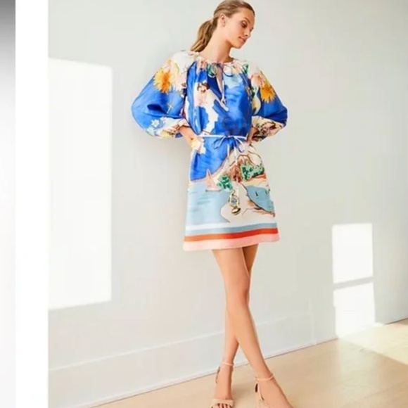 NWT Antonio Melani Raffaella blue ocean print Mini Dress Small S - Picture 4 of 9